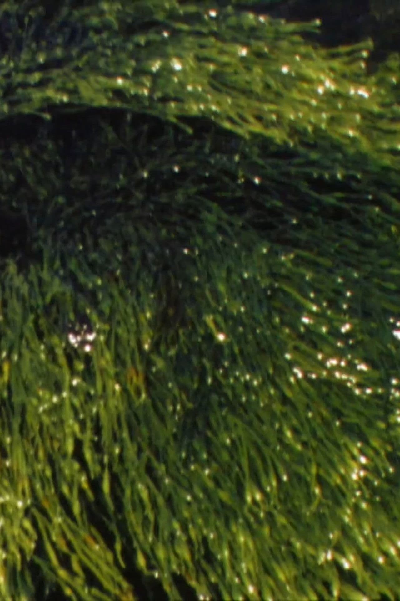 Playing With Water II + III