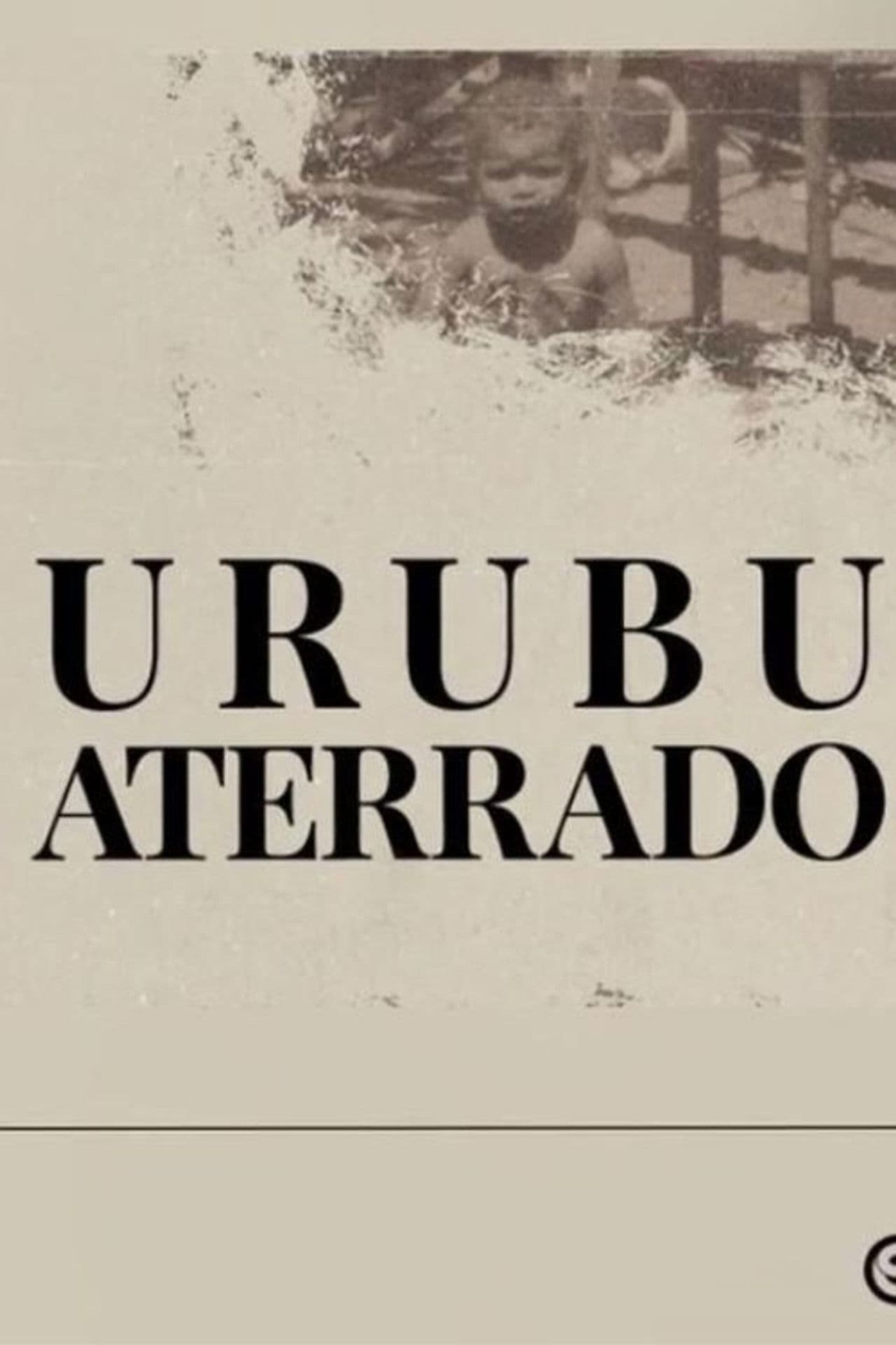 Urubu aterrado