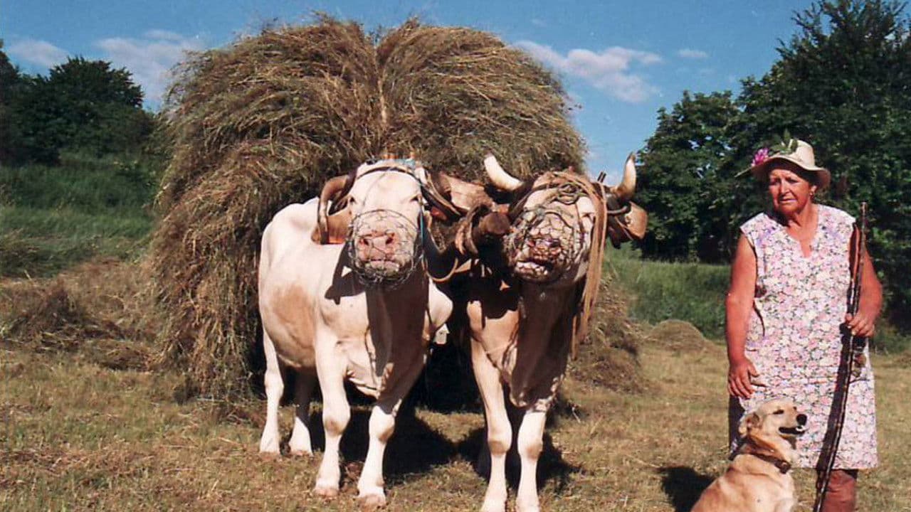 Les métiers d'autrefois : Femme Paysanne