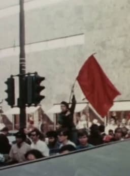 Campaign & Last Day at Comiskey Park