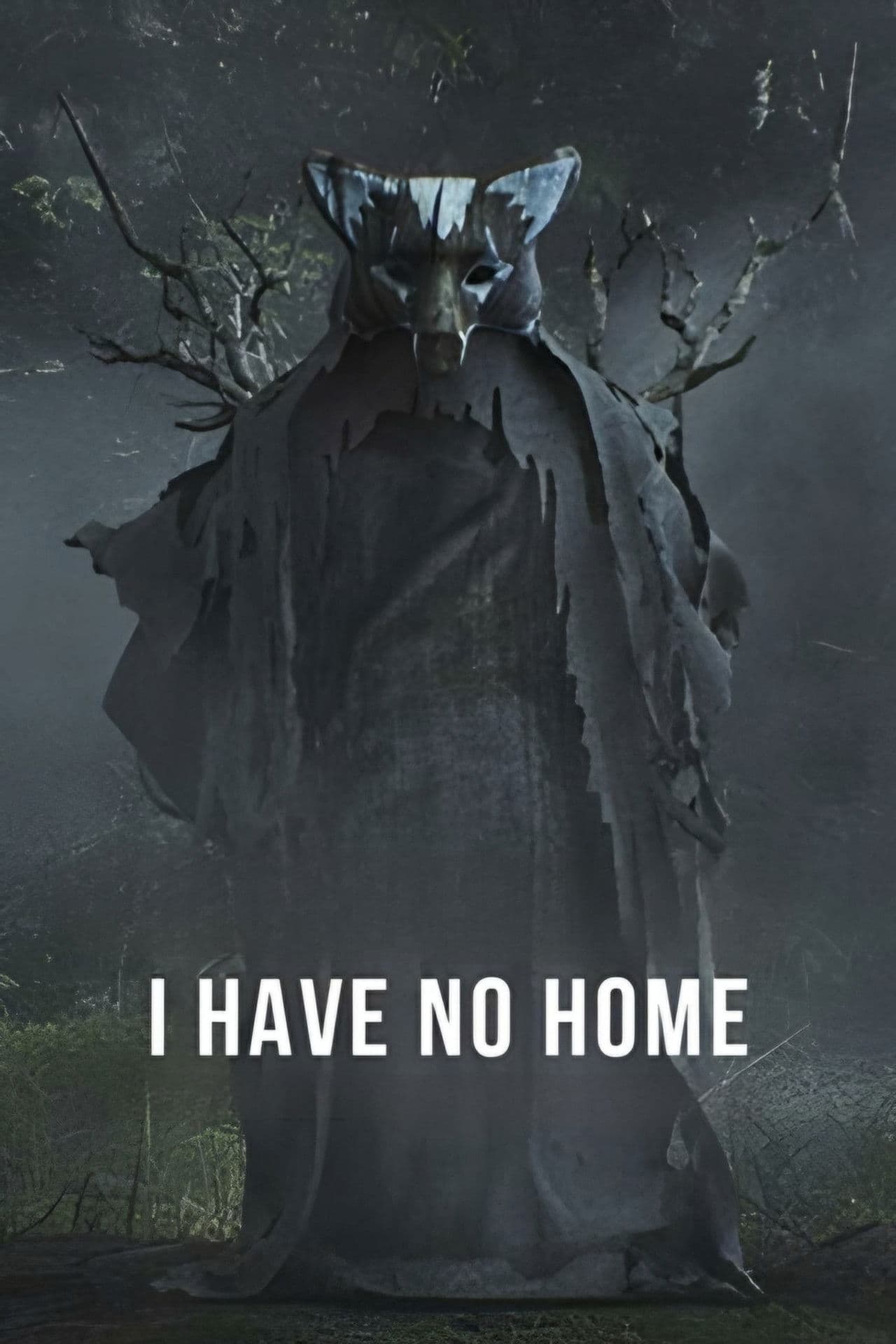 I Have No Home