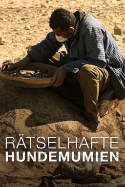 The Mysterious Mummified Dogs of Ancient Egypt