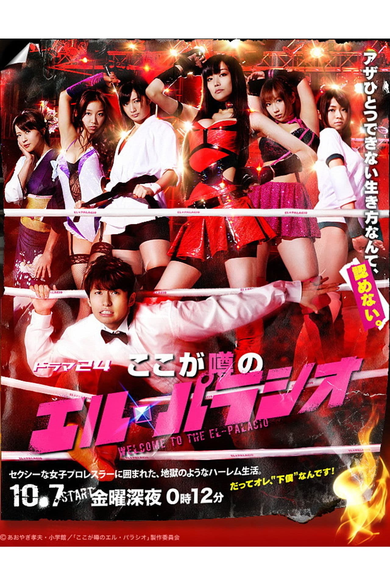 Welcome to the El-Palacio