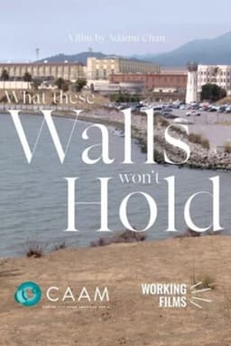 What These Walls Won't Hold