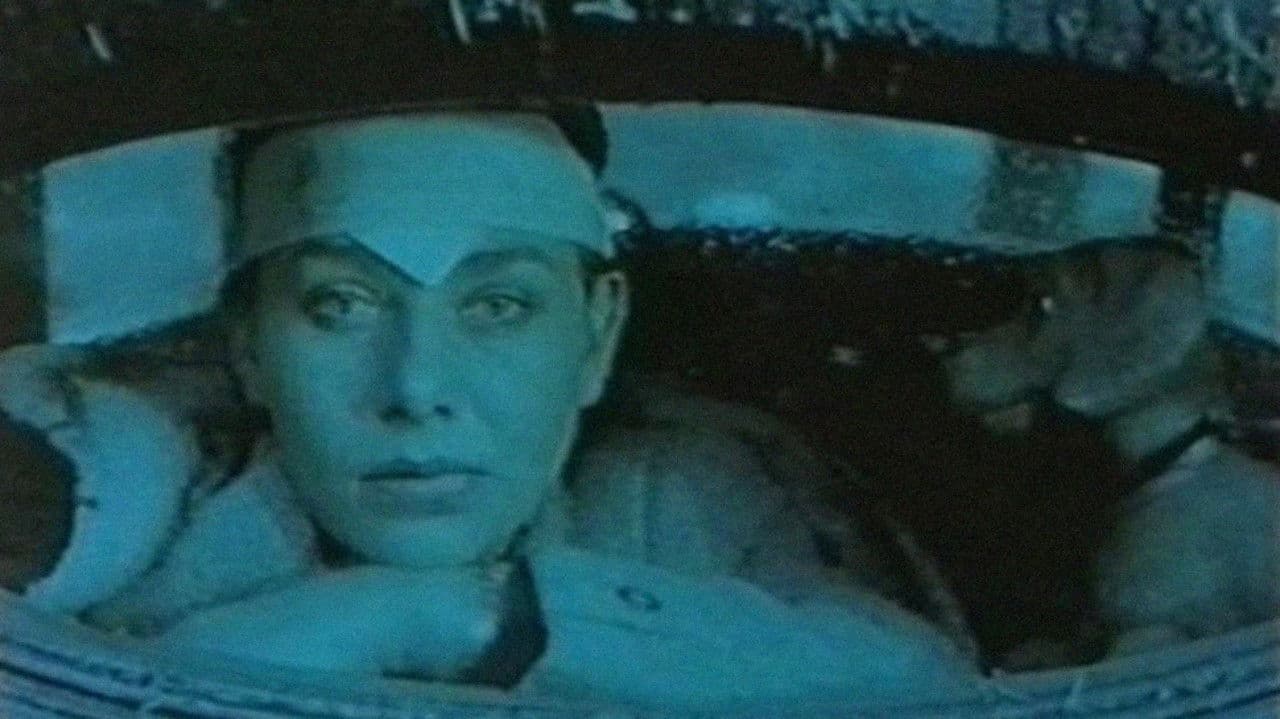 Images of Liberation