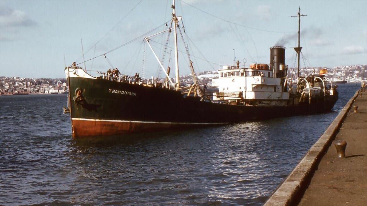 Arte al Agua - los bacaladeros de Terranova