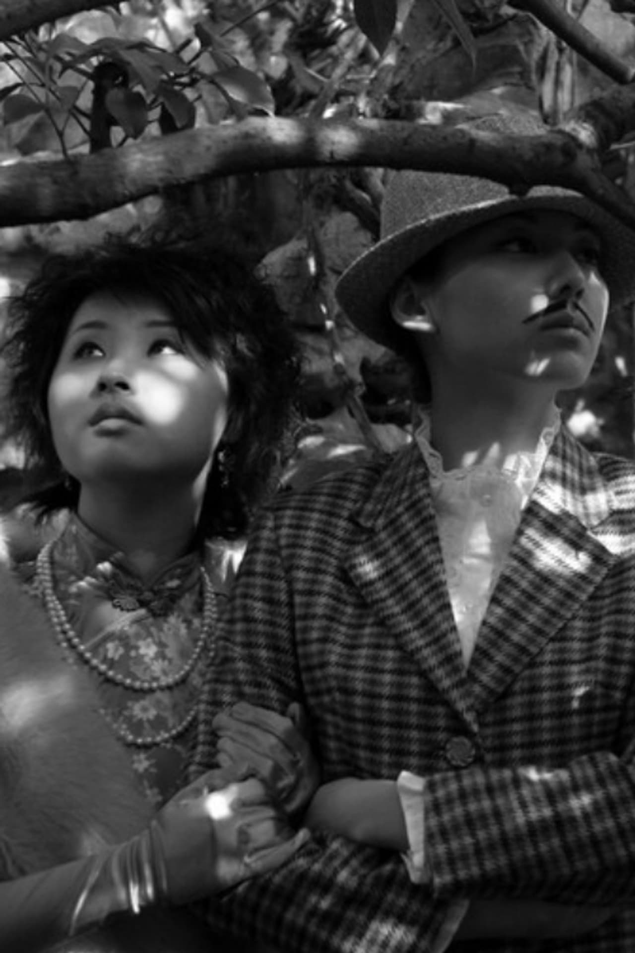 No Snow on the Broken Bridge