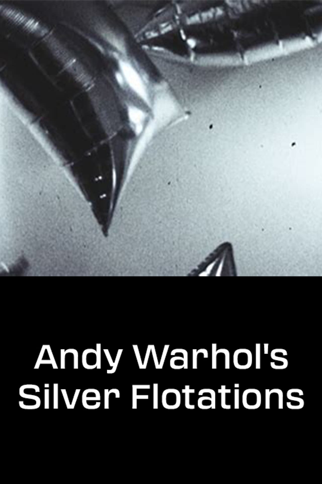 Andy Warhol's Silver Flotations