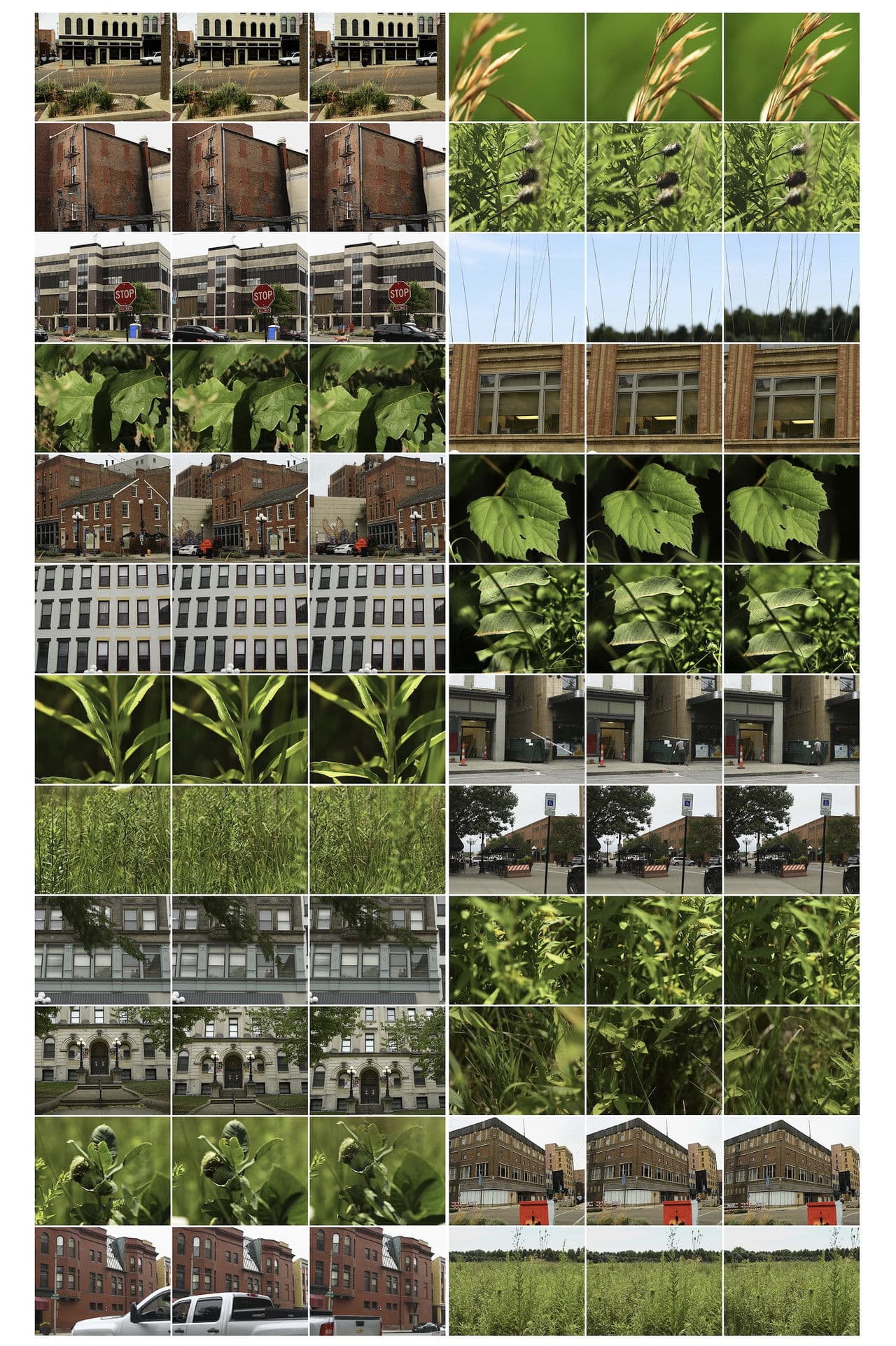 Interactions 18: Bloomington-Normal, 1