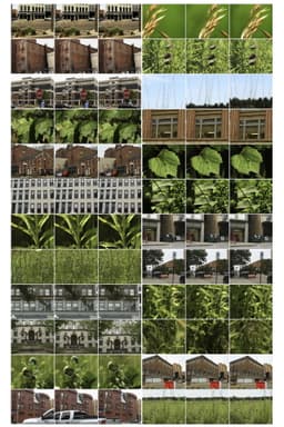 Interactions 18: Bloomington-Normal, 1