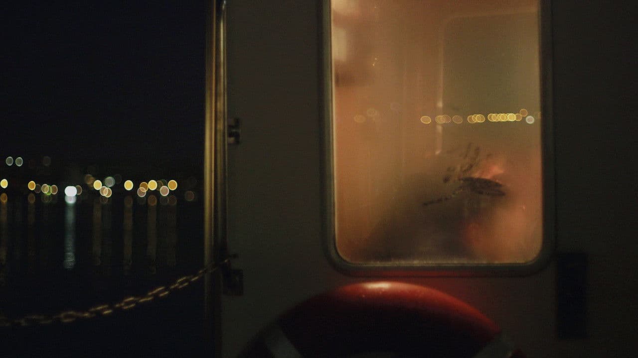 A Donkey Called Geronimo