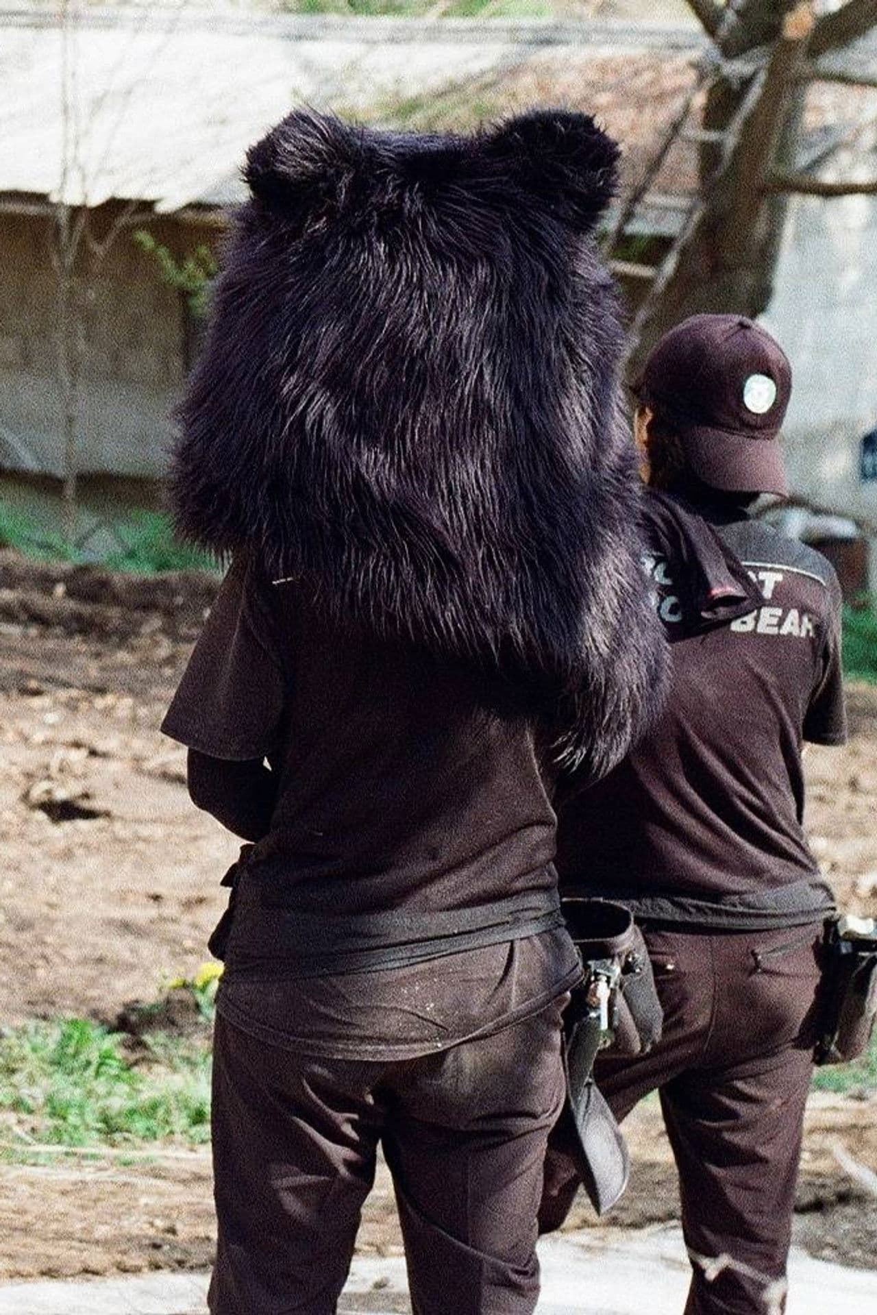 Where We Stay for a While