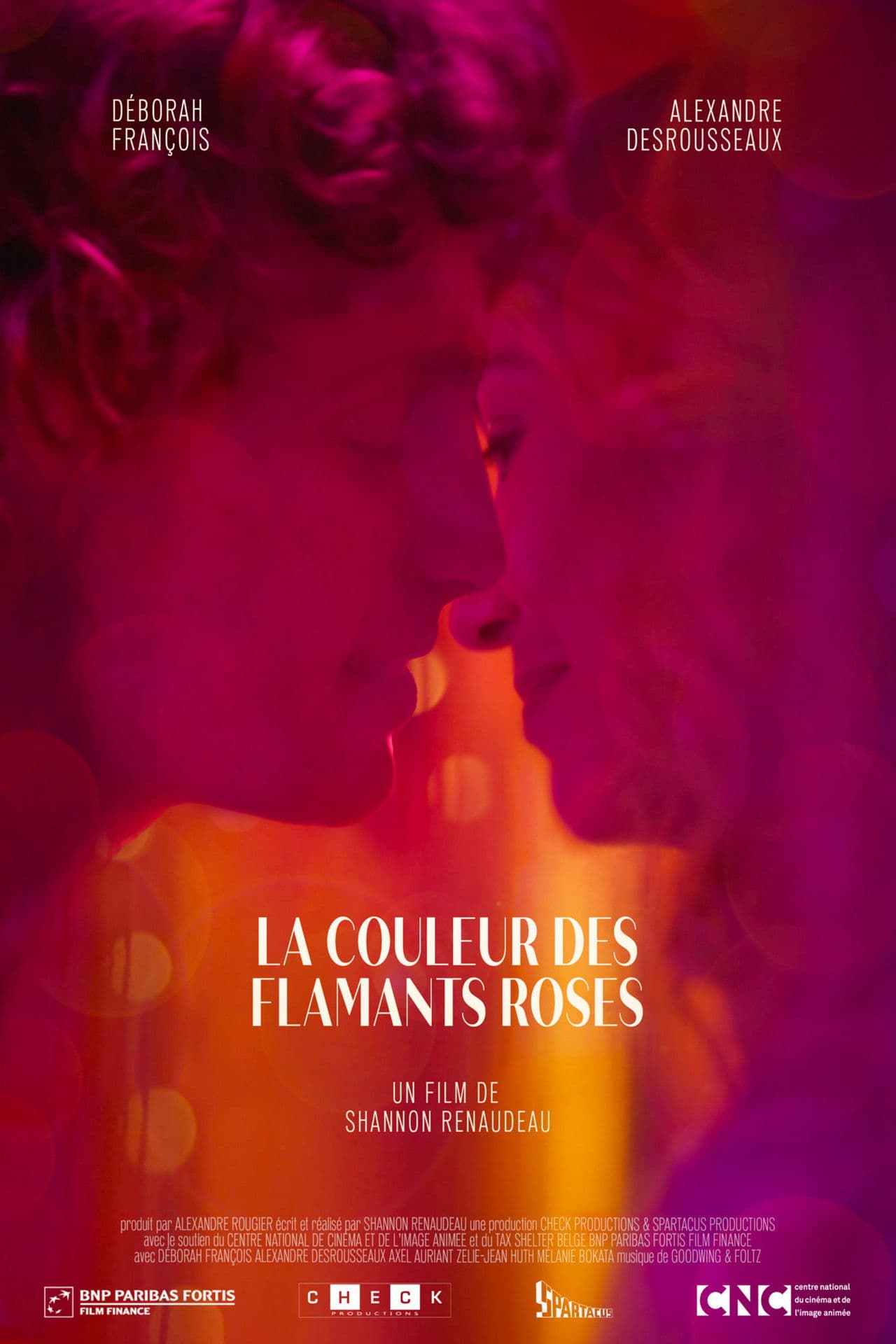 La couleur des flamants roses