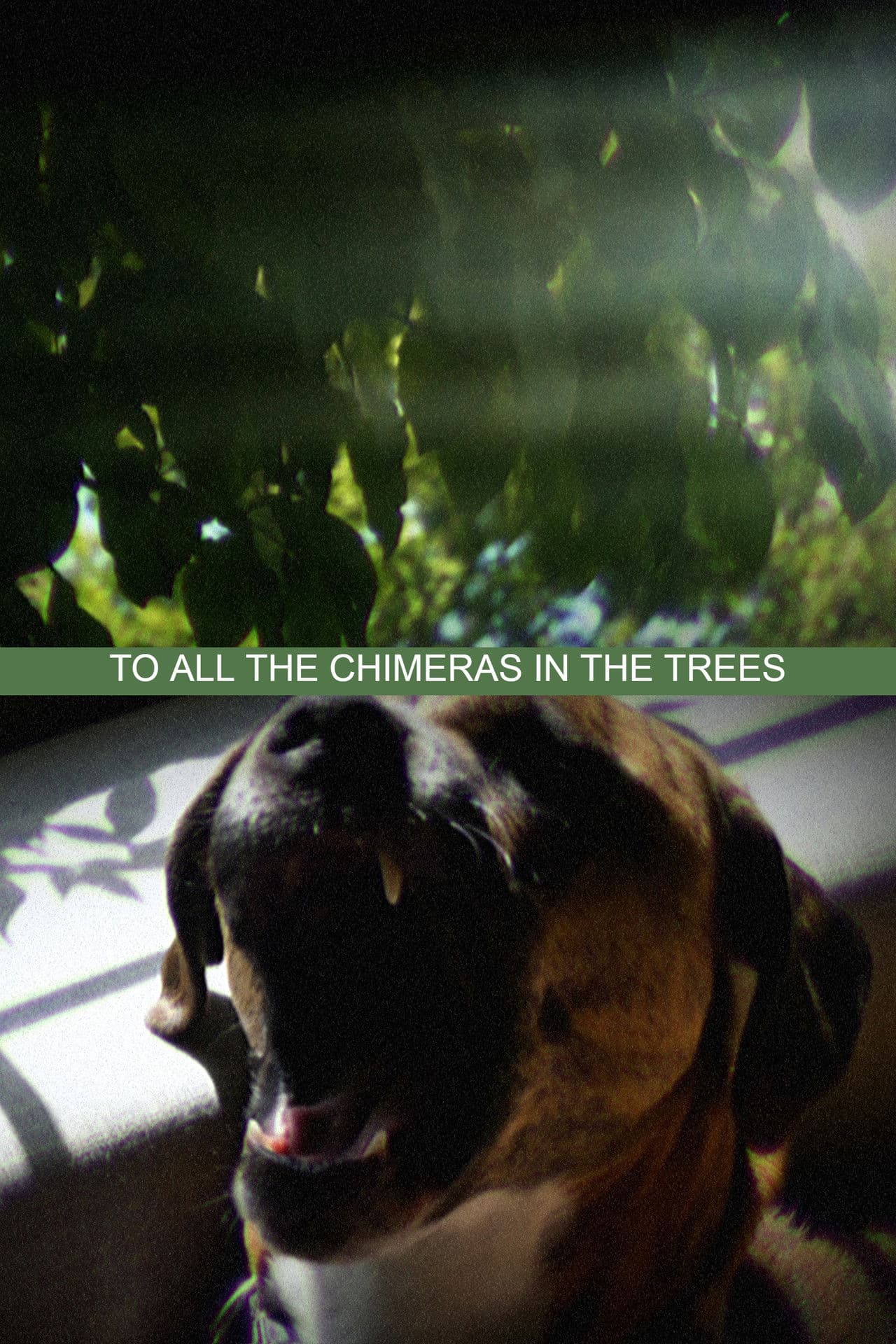 To All the Chimeras in the Trees