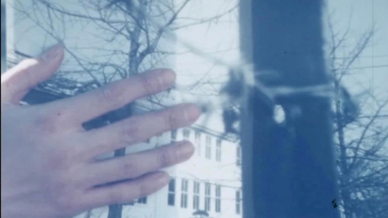 In the Spring Season