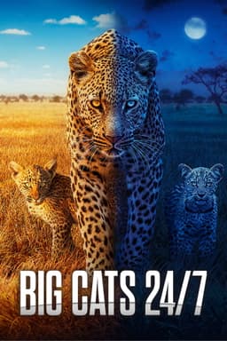 Big Cats 24/7