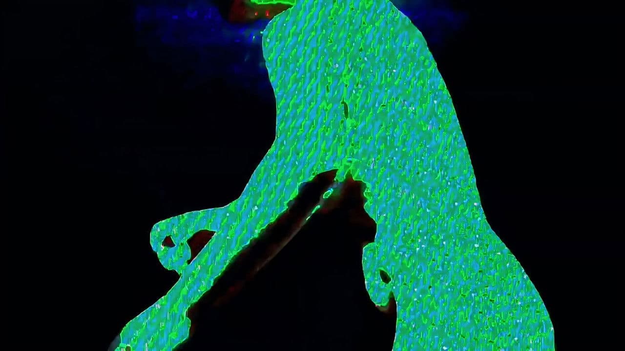 c0rp0 de bytes: o encontro