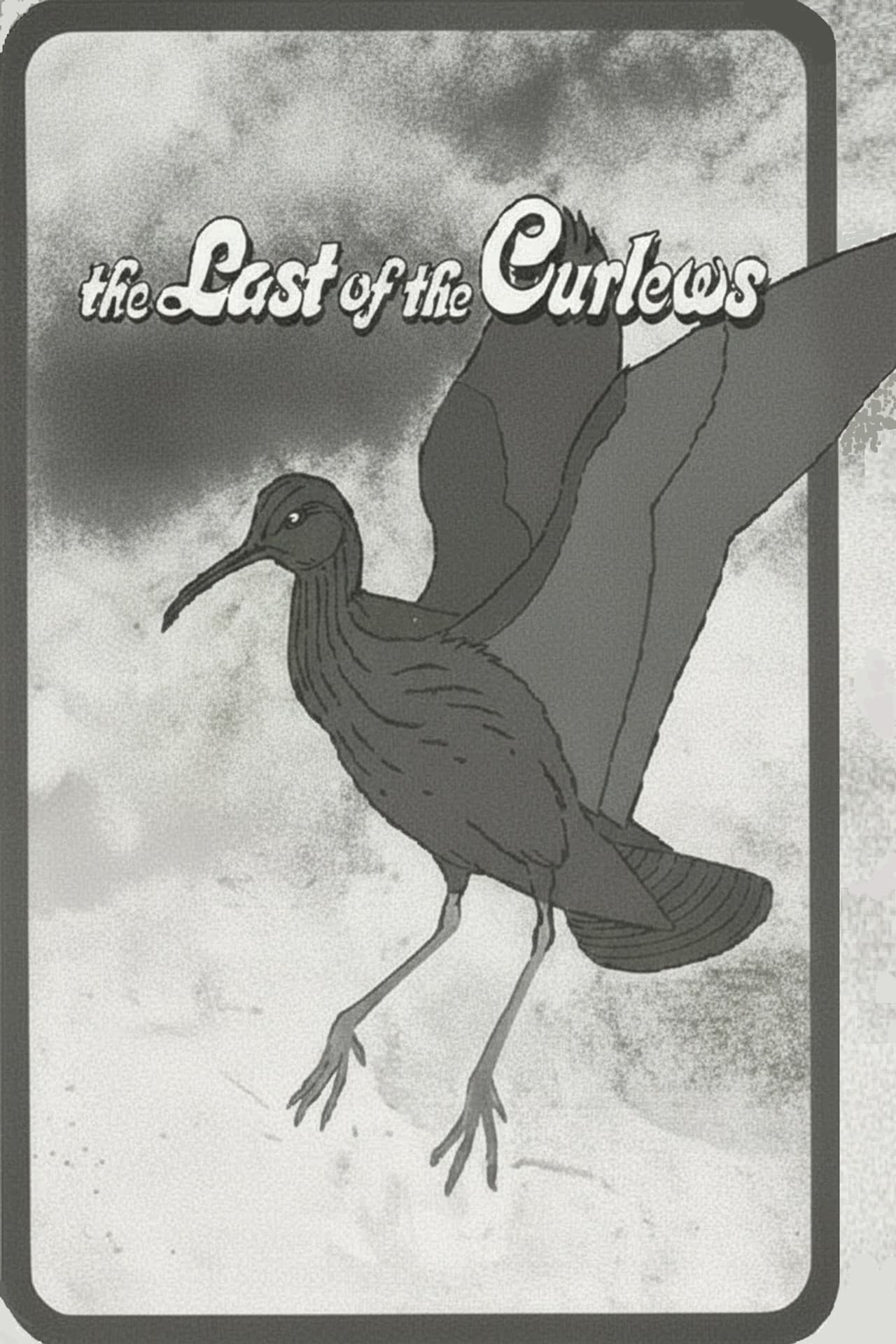 The Last of the Curlews