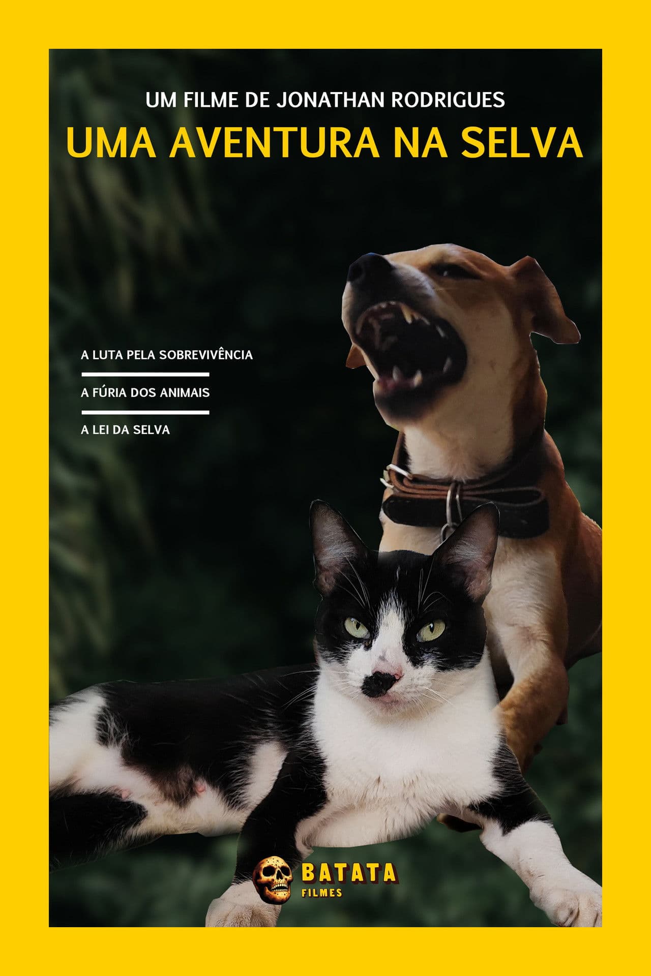 The Jungle Adventure