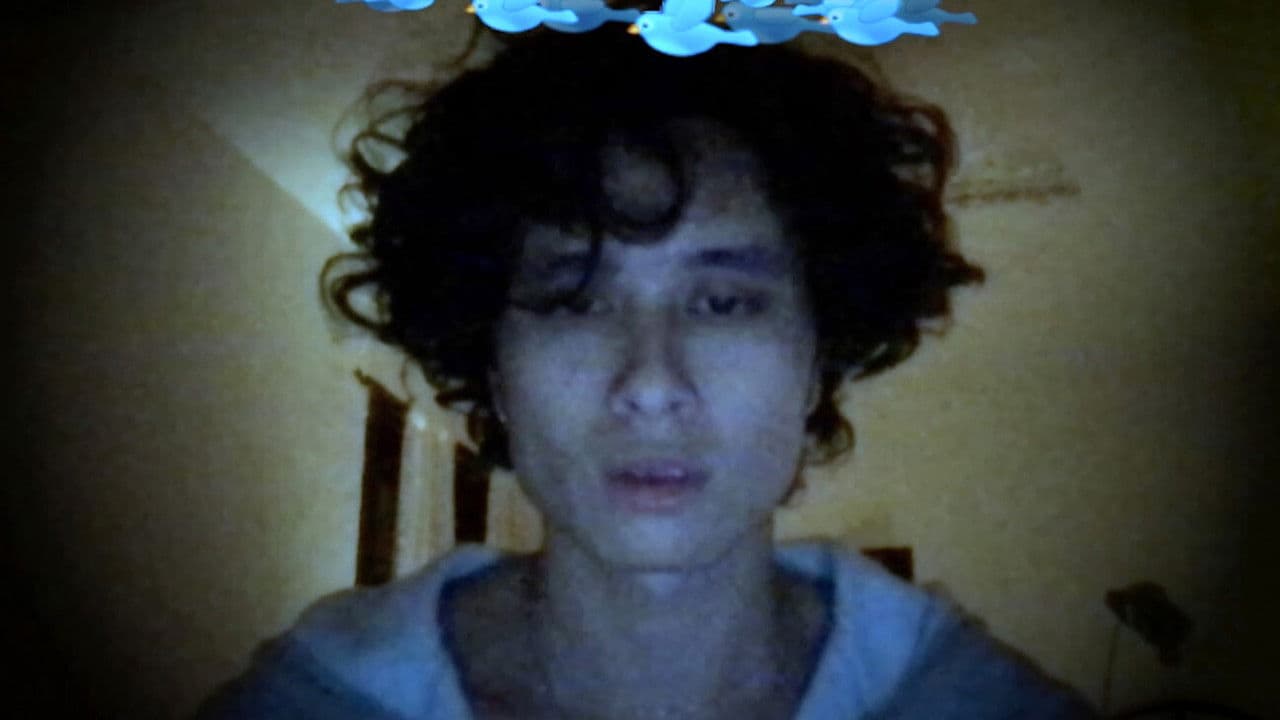 Debut, or, Objects of the Field of Debris as Currently Catalogued