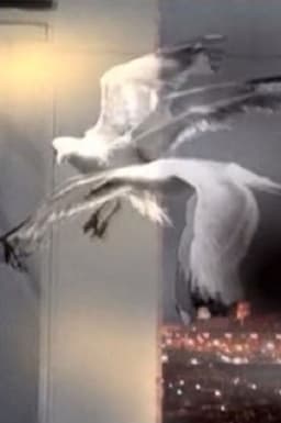 Entrer Dans Le Rêve