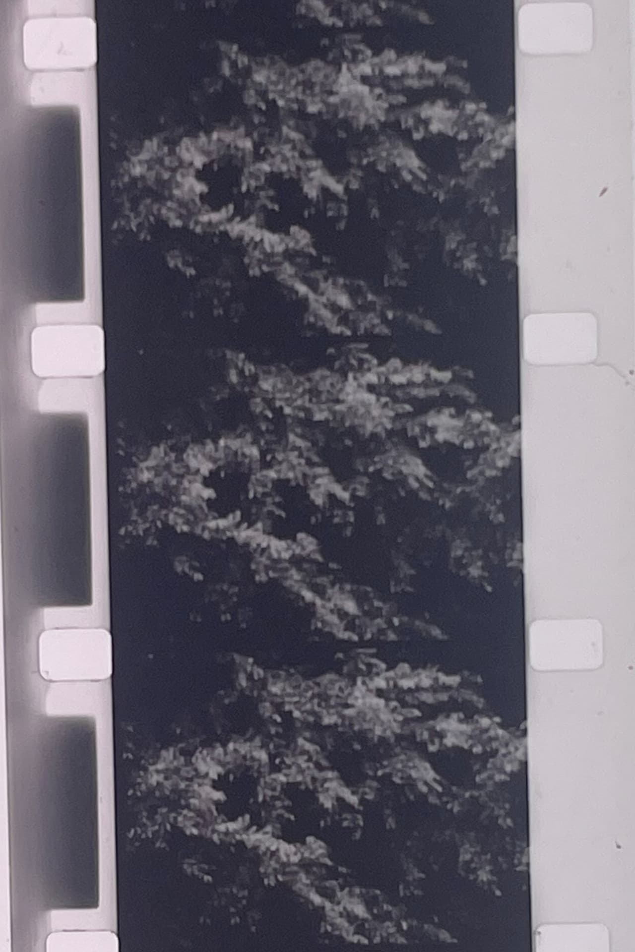 Plotting the Grey Scale: 2 or 3 Quick Traverses