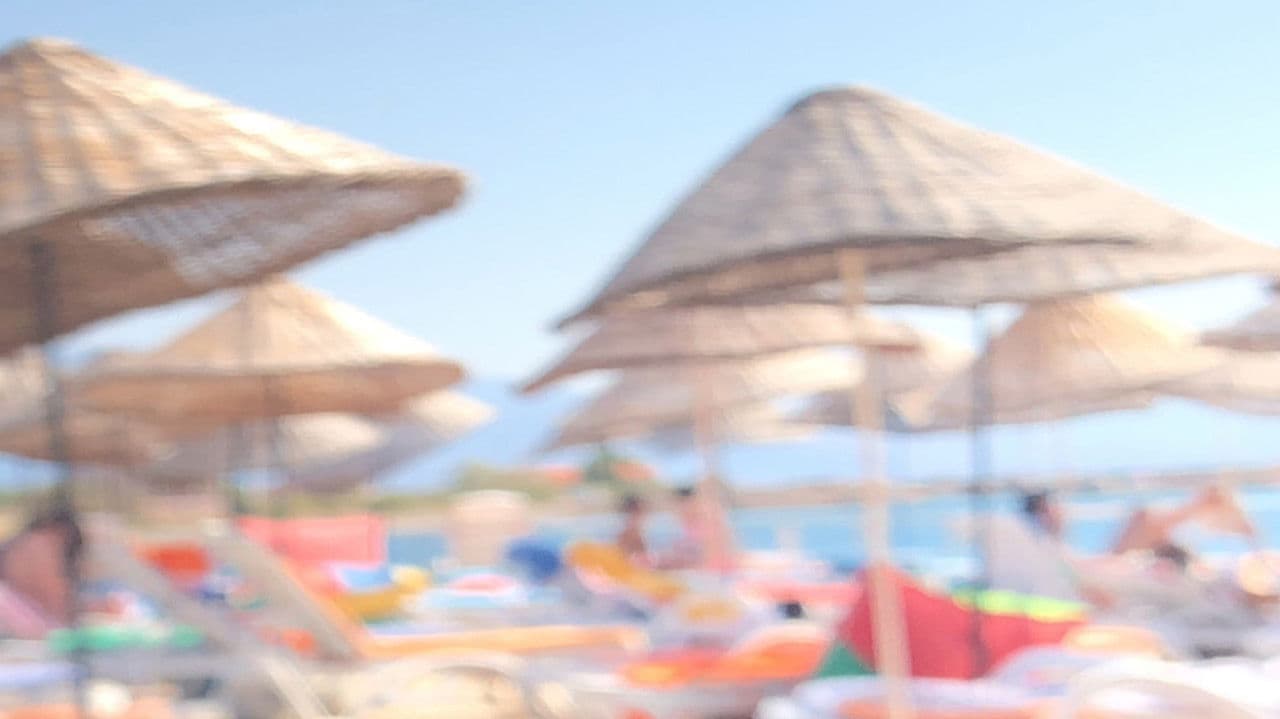 Impressions of a Summer