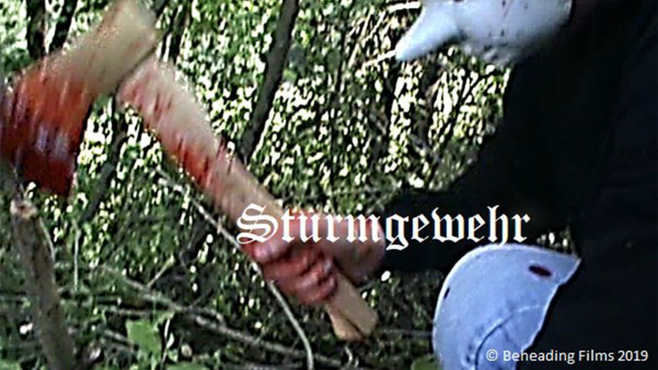 Sturmgewehr