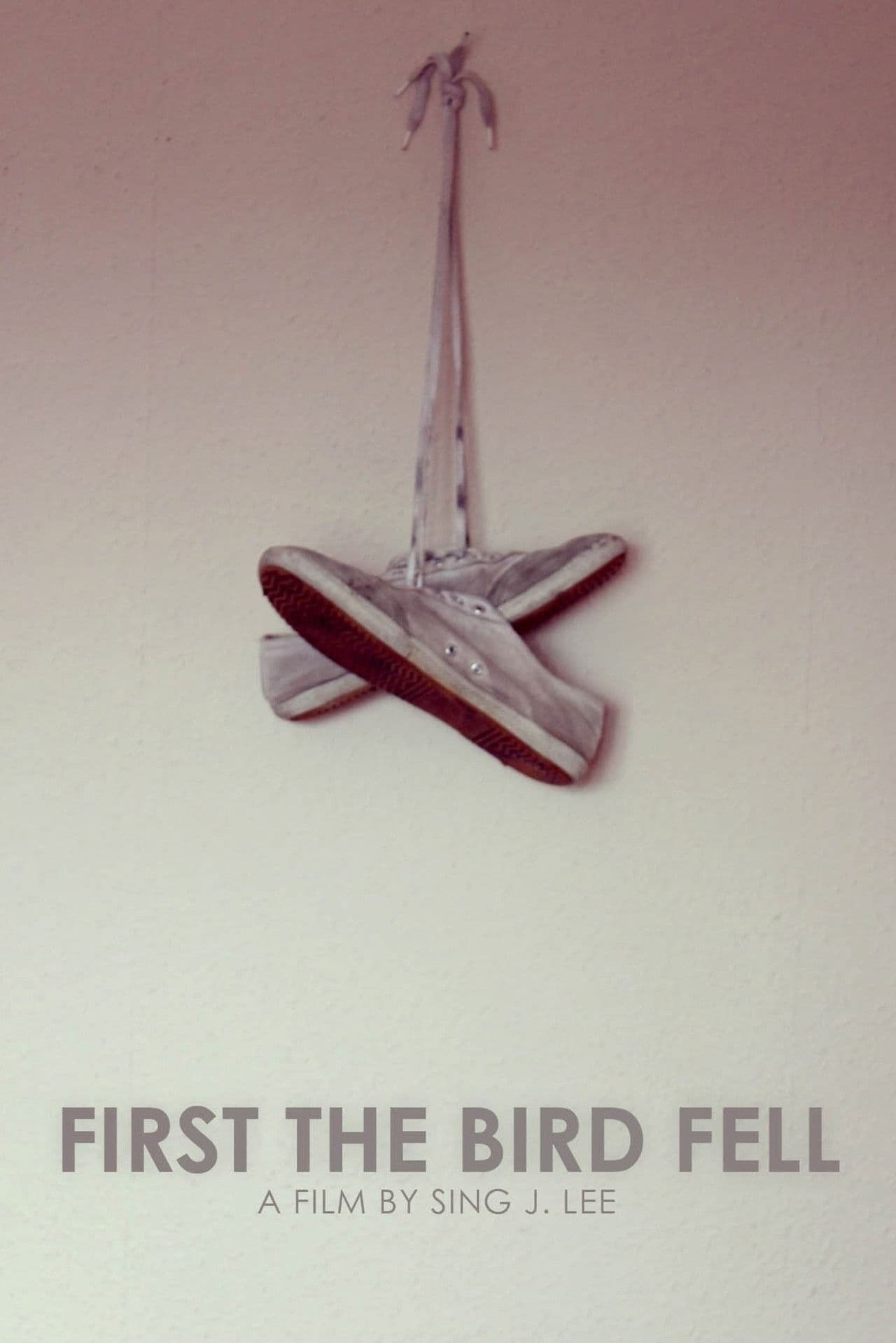 First the Bird Fell