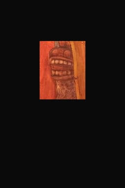 Interrogatorio al artista cubano Javier Caso