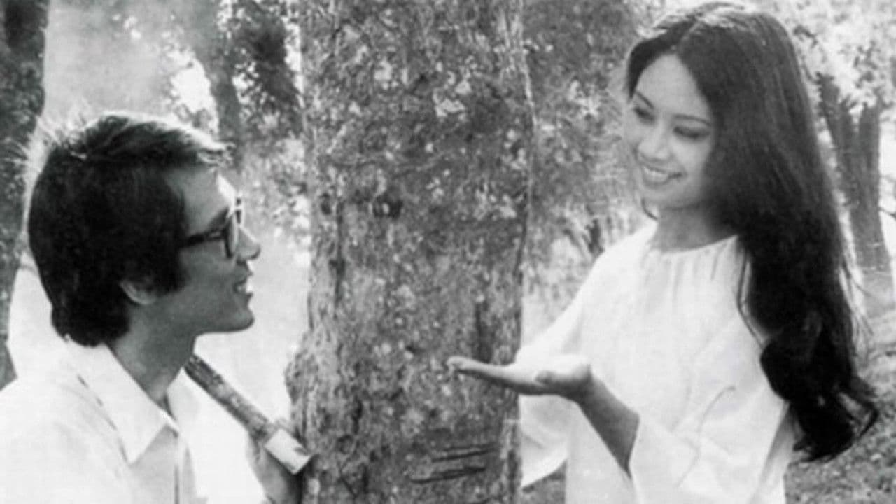 The Town Within Reach