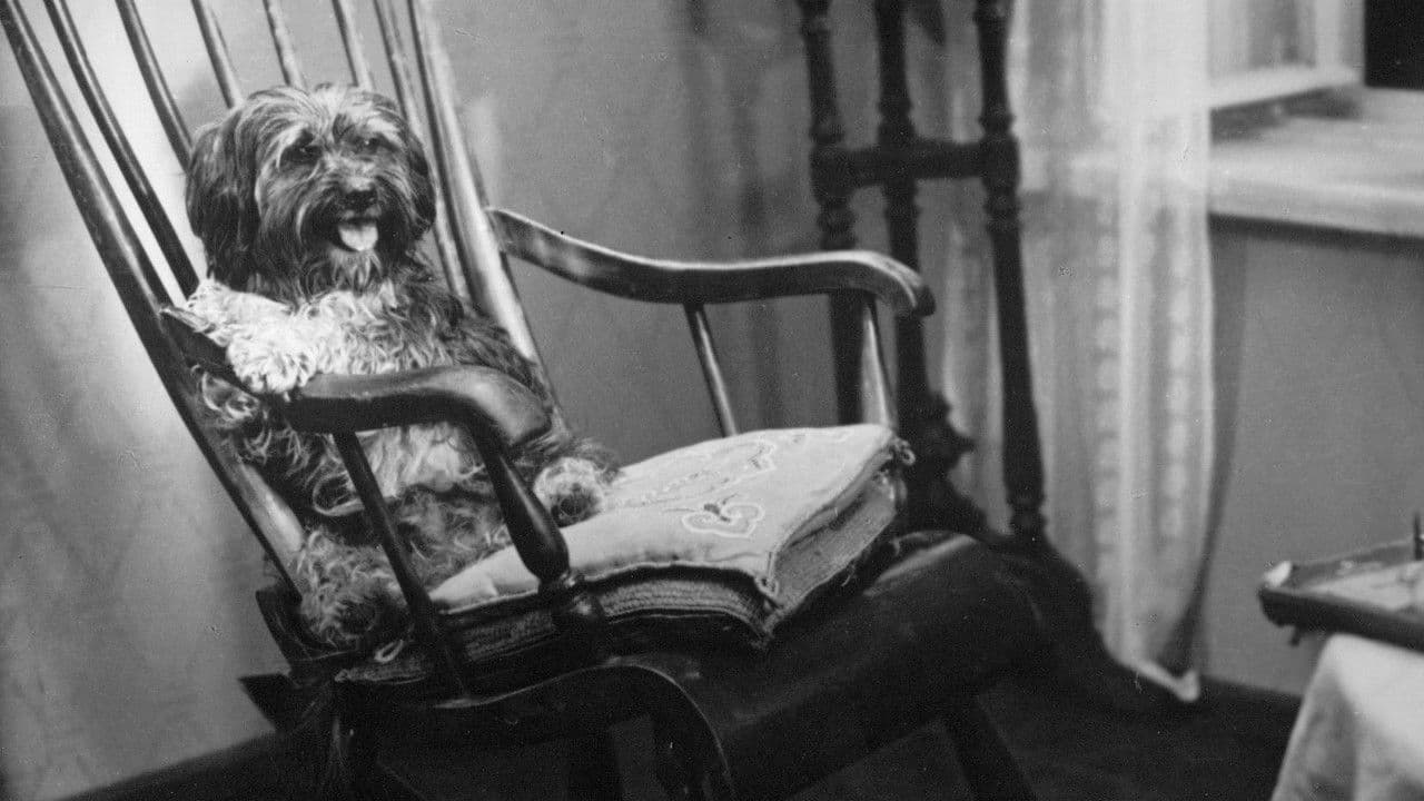 Barbos Visiting Bobik