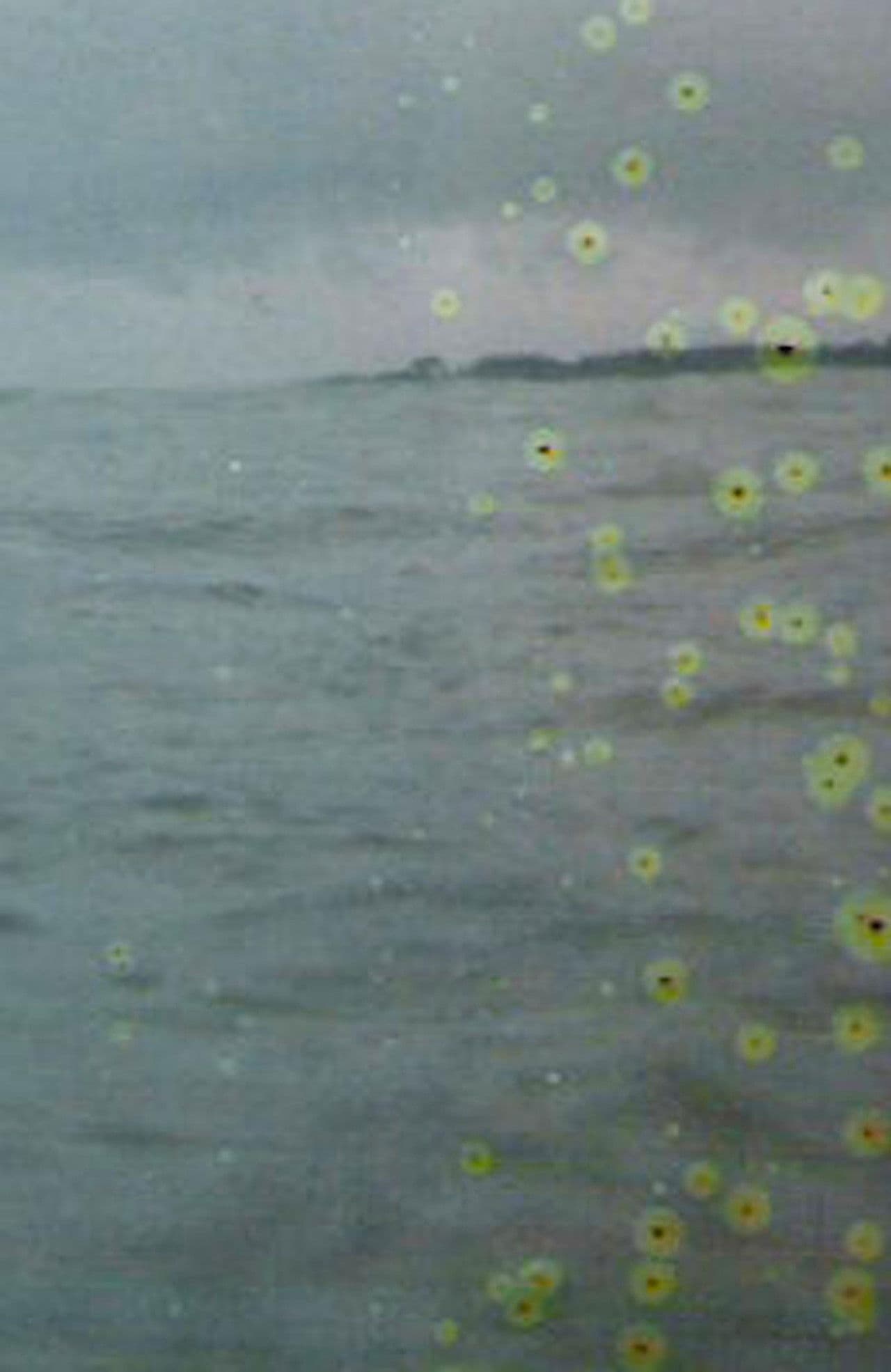 Film for Invisible Ink case no. 71: BASE-PLUS-FOG