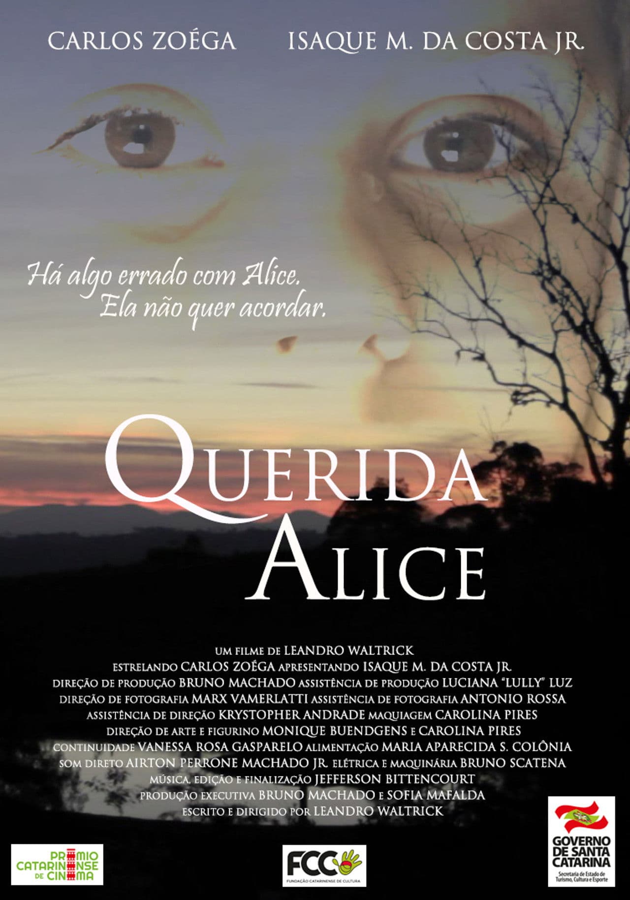 Querida Alice