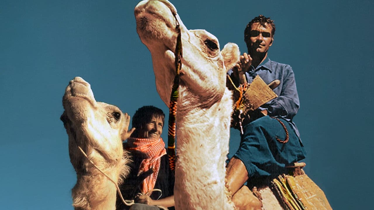 Nomad Meeting, The Path Of Odette And Jean-Louis Bernezat