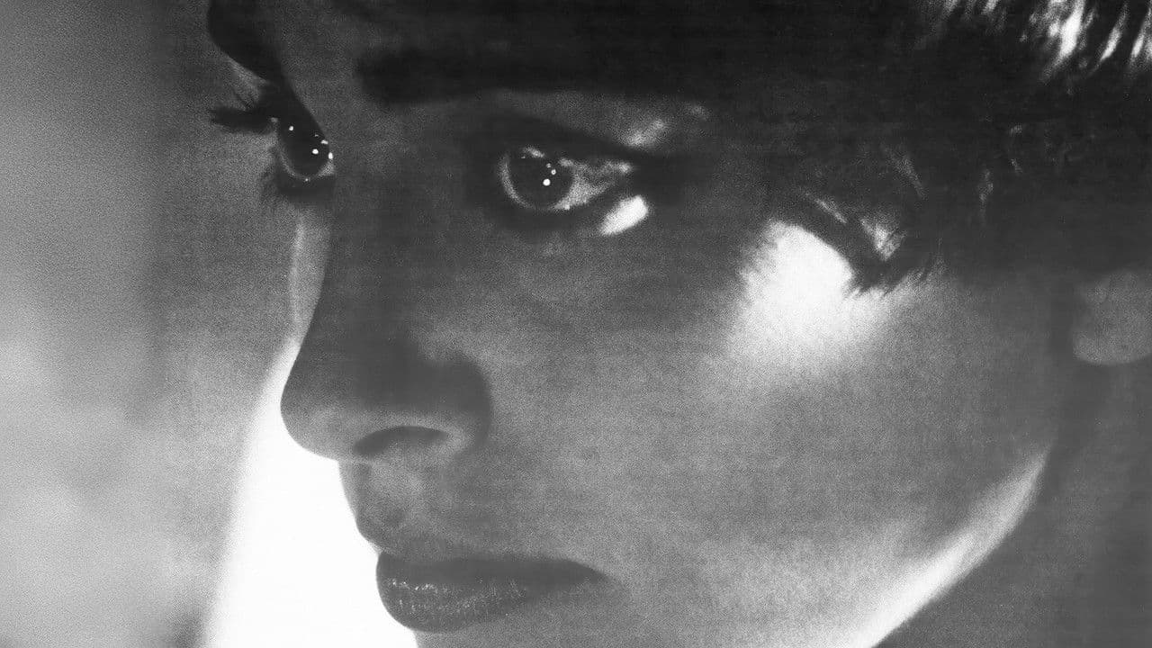 Them Public Romantics