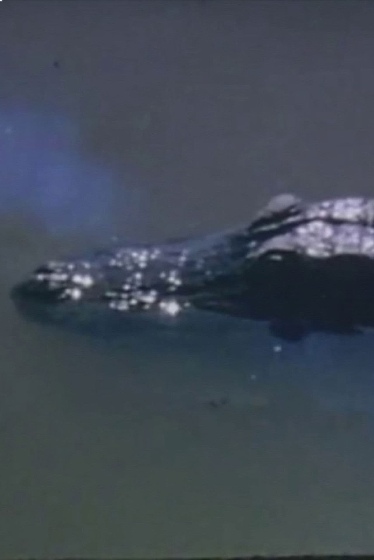 Wind Across the Everglades