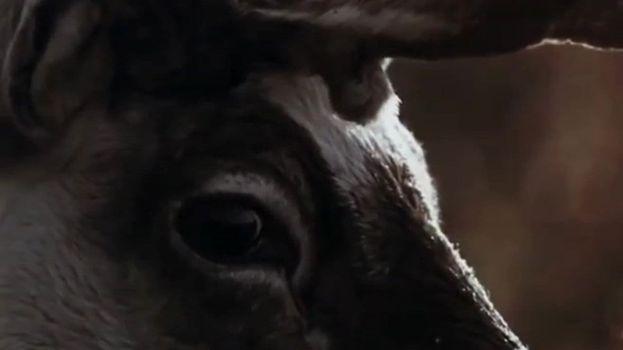 Those Who Walk Into the Flames