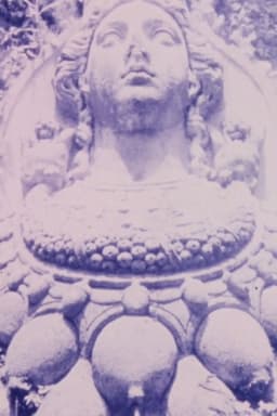 Shadows from the Western Wall