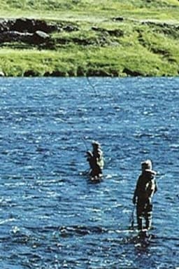 Will There Be Salmon Tomorrow?