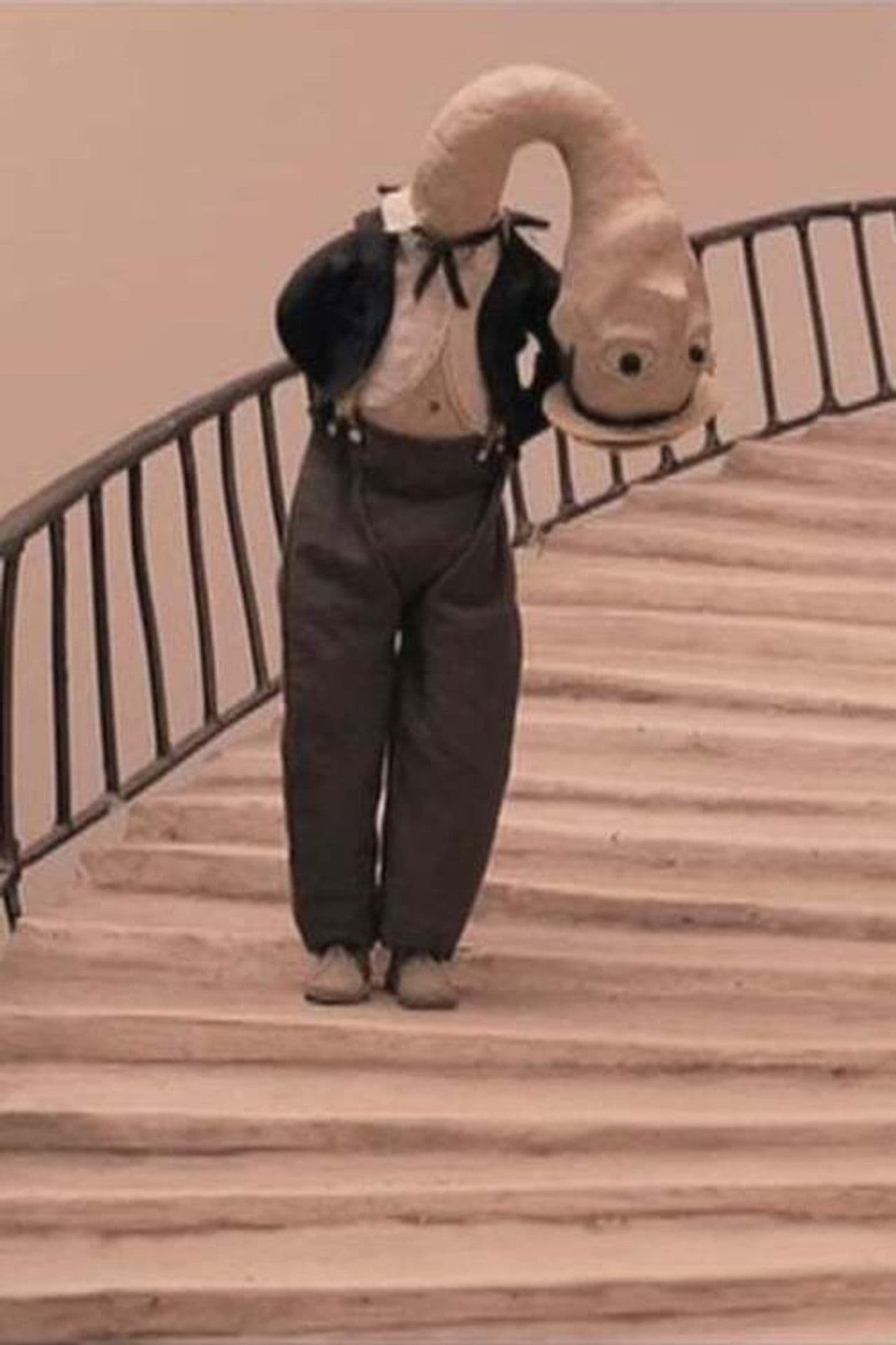 Les escargots de Joseph