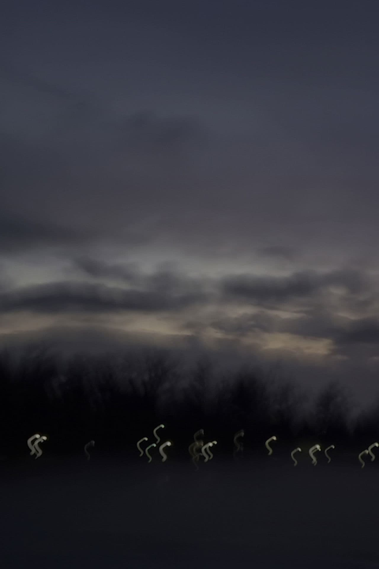 i heard the geese cry