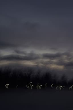 i heard the geese cry