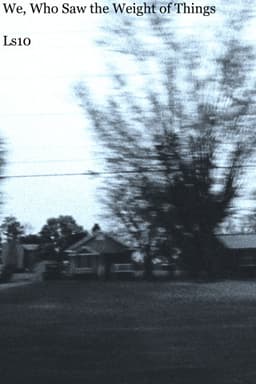 We, Who Saw the Weight of Things