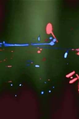 Red and Blue Armies in a Forest