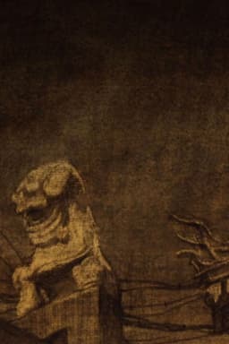 Shadows in Mulan 目澜秘事