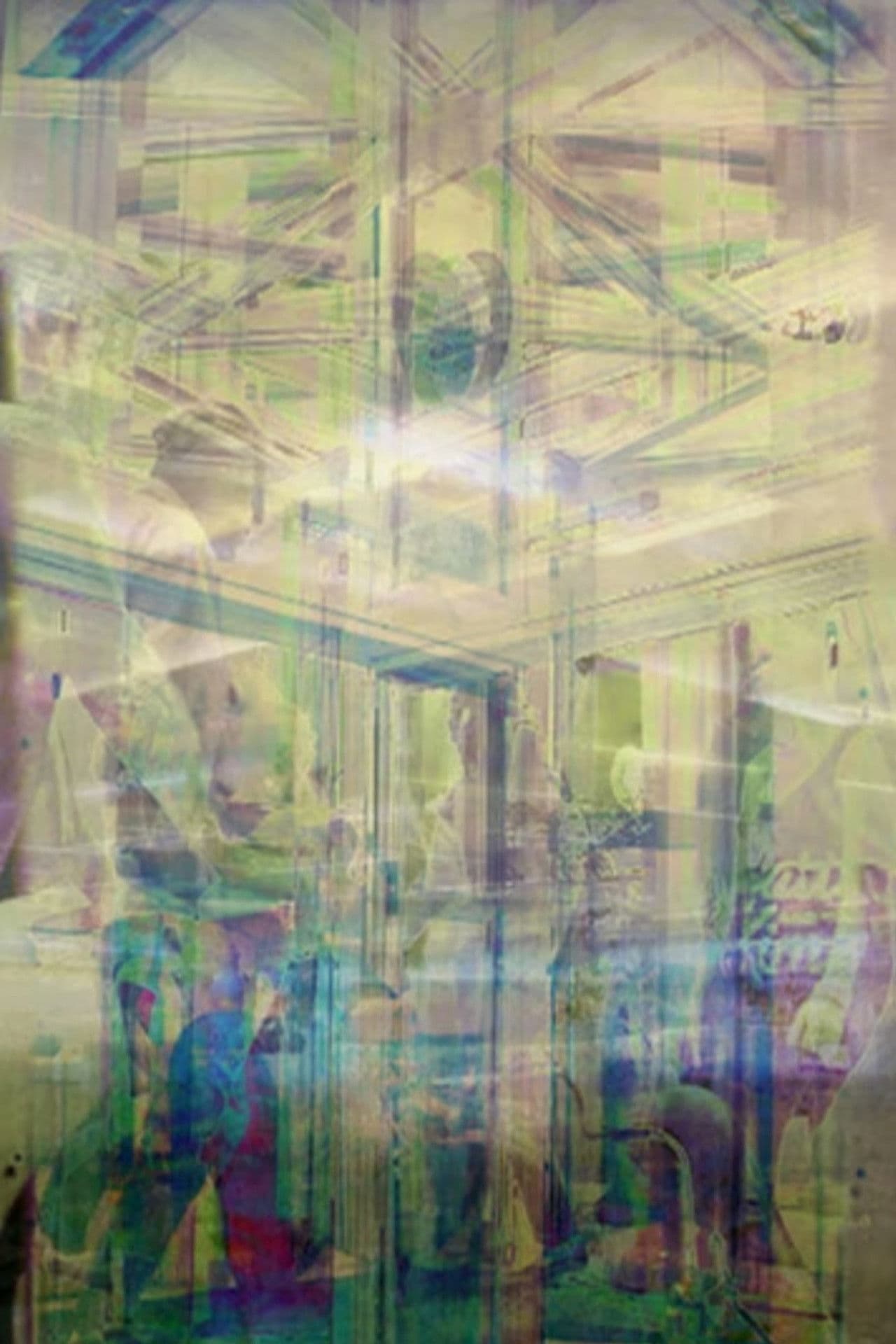 Electric Pilgrims, Everyone is Everywhere