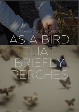 as a bird that briefly perches