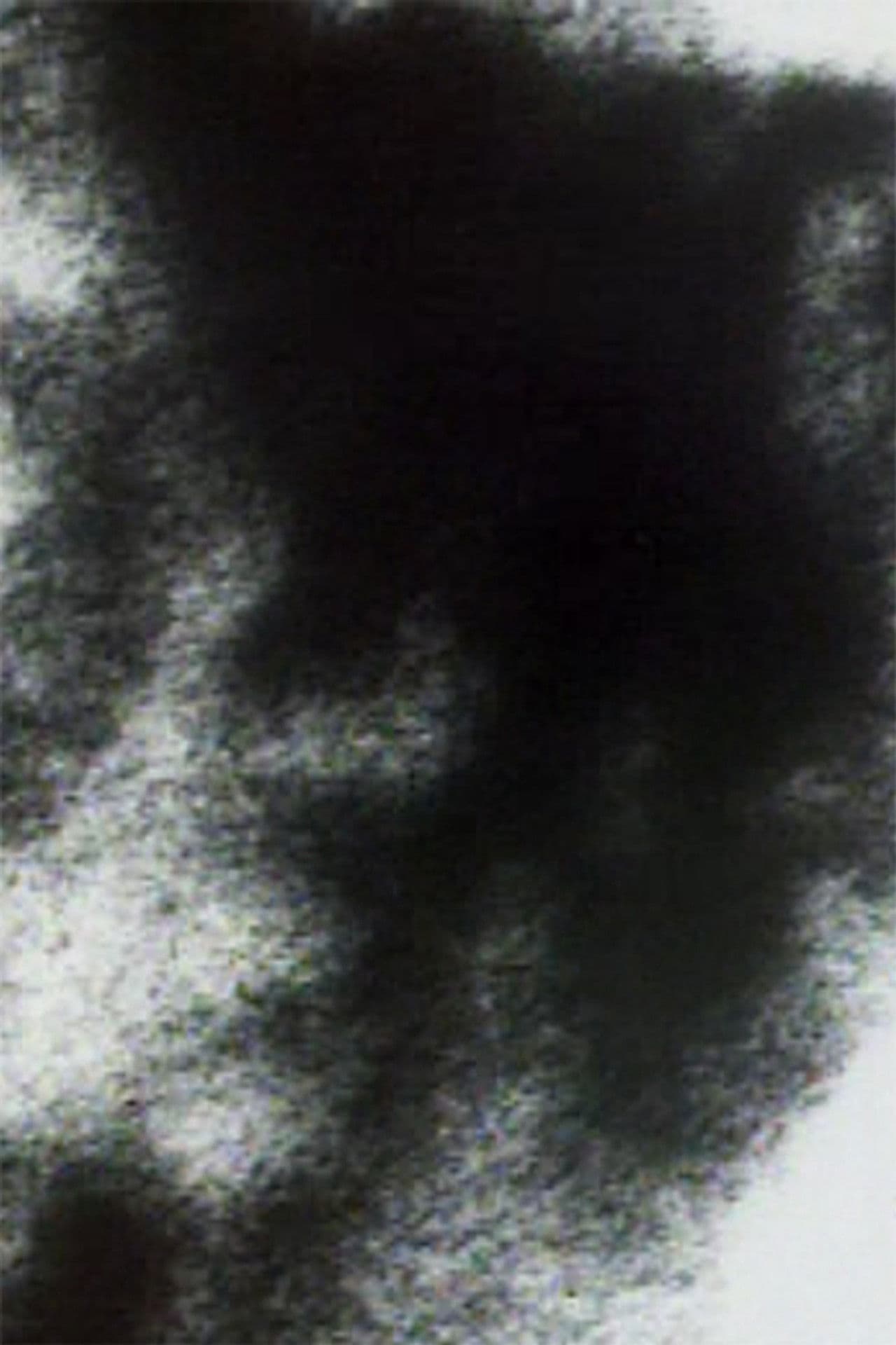 Friends Along the Way