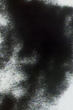 Friends Along the Way